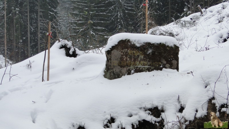 Ritterstein Nr. 200-3 Ruine Gruenbacher-Hof.JPG - Ritterstein Nr.200 Ruine Gruenbacher-Hof